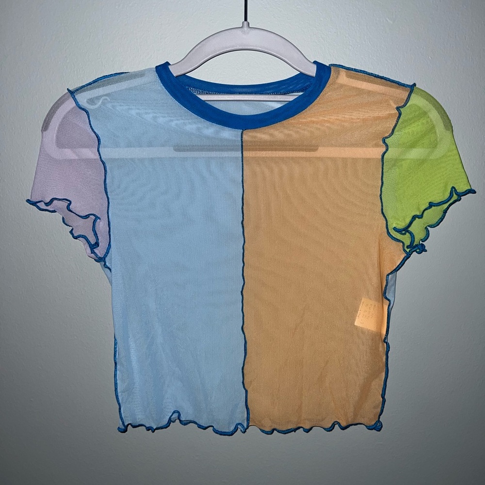 Mesh Multi Colored Top